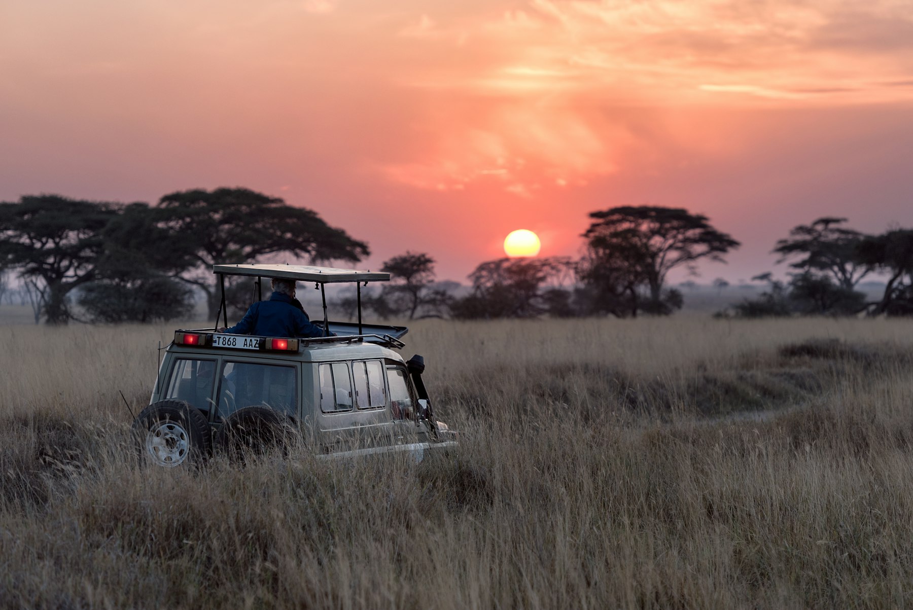 Wildlife safari in Tanzania booked from Zanzibar