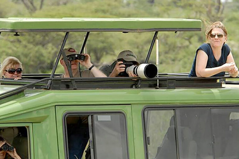A guided Mikumi game drive