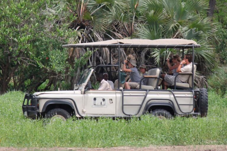 Safari moments in Nyerere National Park