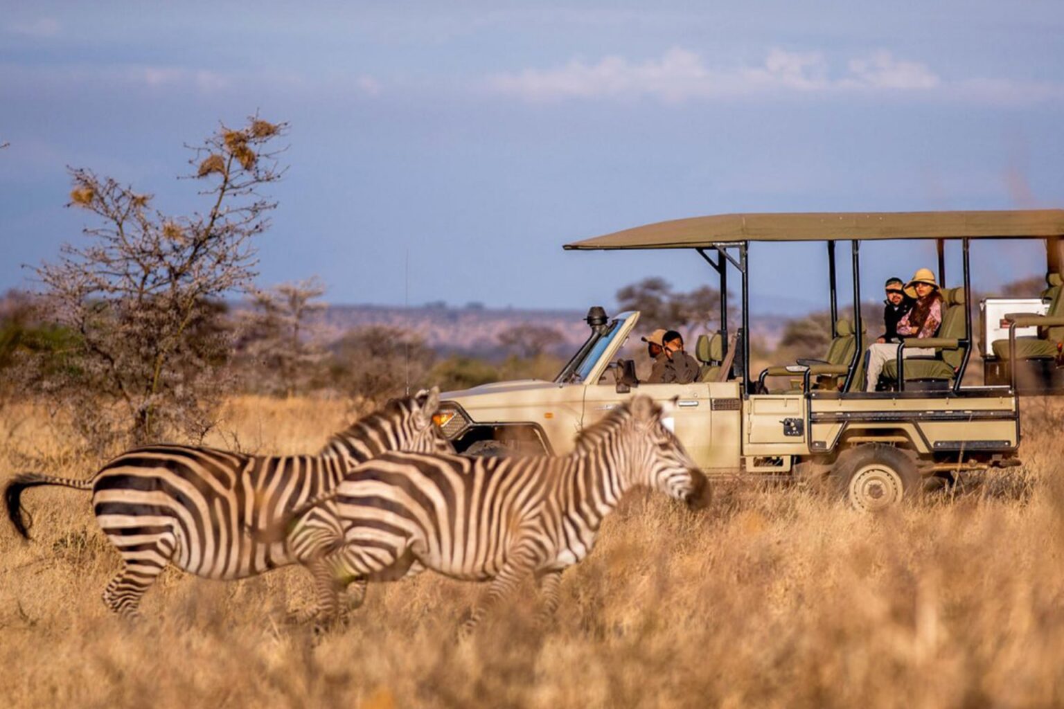 Game-drive landscapes in Nyerere
