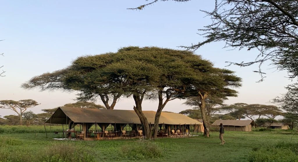 3 Days Serengeti Safari from Zanzibar in Serengeti, Zanzibar