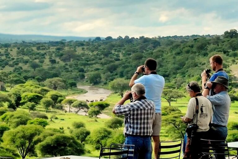 Tanzania wildlife safari moments