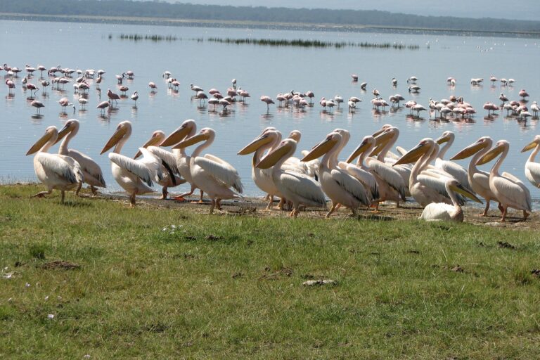 Tarangire and Ngorongoro adventure
