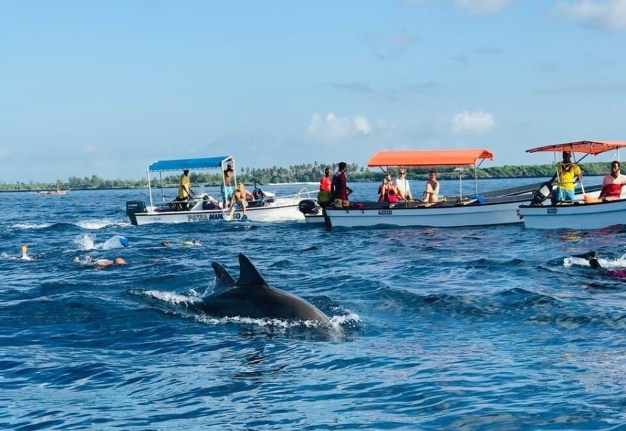 Mnemba Island, Turtles & Nungwi Beach in Mnemba, Zanzibar