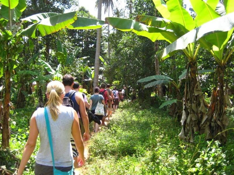 A guided walk through the farm
